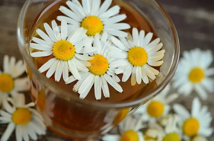 Chamomile Tea for sleep