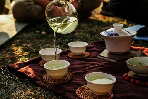 Pouring Tea At A Picnic