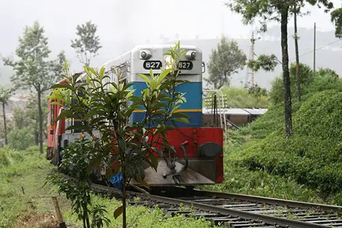 Tea train Sri Lanka